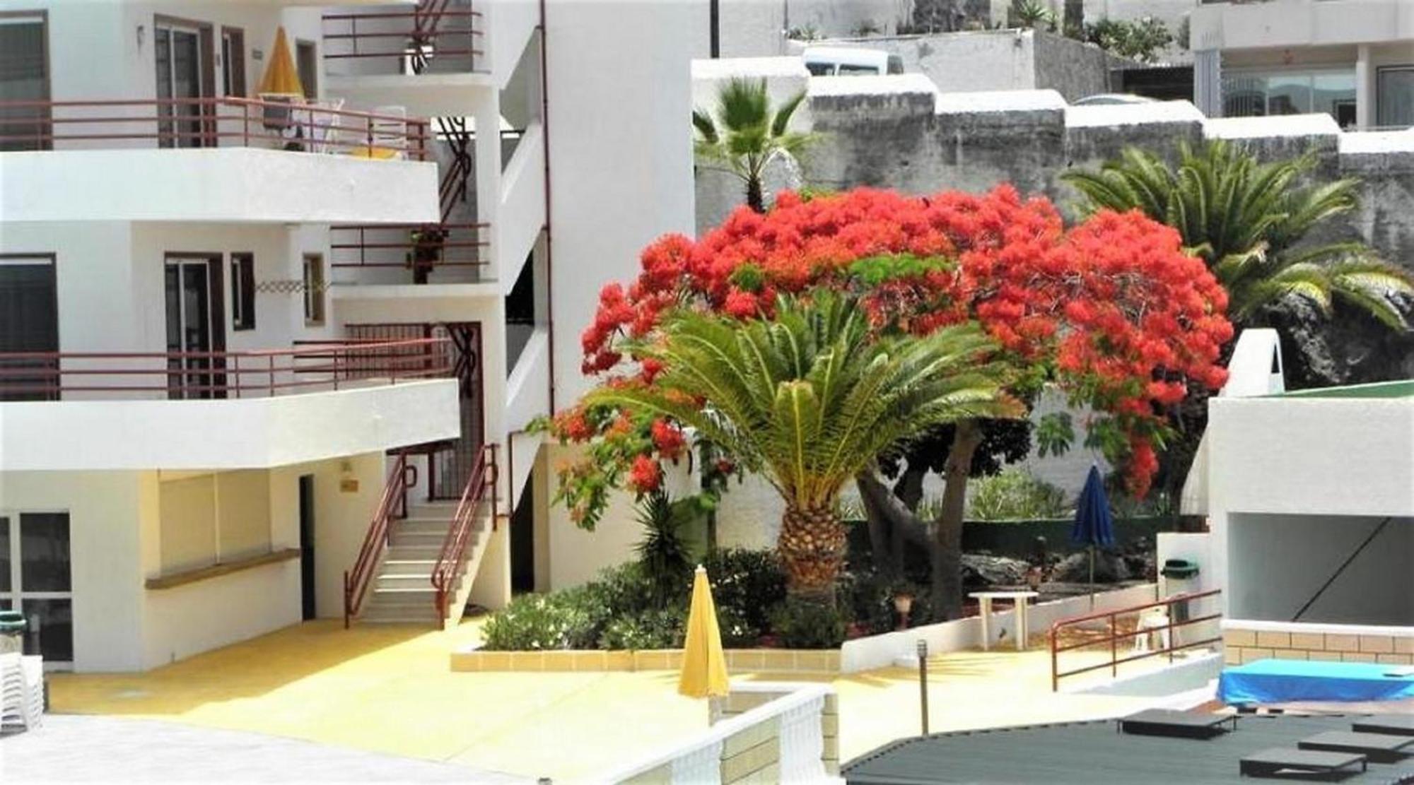 Apartamento Sol & Arena Puerto de Santiago  Exteriör bild